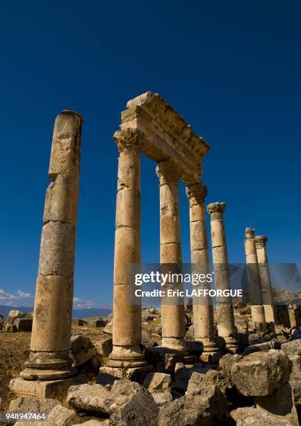 Apamea site is located on the right bank of the Orontes river in North West of Hama and it overlooks the Ghab valley on October 4, 2006 in Syria;it...