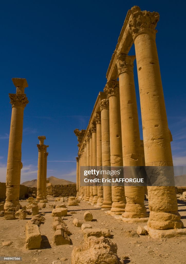 The Ancient Roman city of Palmyra, Syria