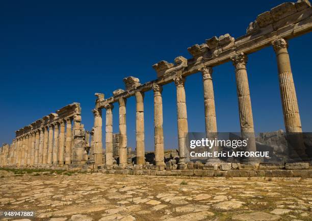 Apamea site is located on the right bank of the Orontes river in North West of Hama and it overlooks the Ghab valley on October 4, 2006 in Syria;it...