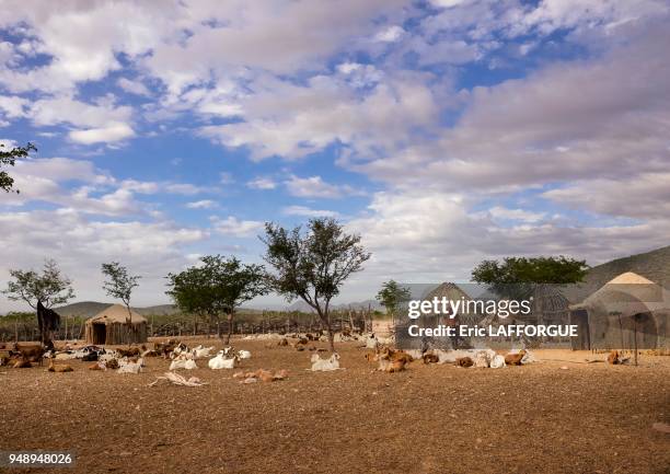 Traditional himba village, epupa, Namibia on March 3, 2014 in Epupa, Namibia.