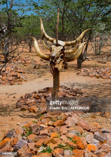 Himba graves with cow horns, epupa, Namibia on March 3, 2014 in Epupa, Namibia.