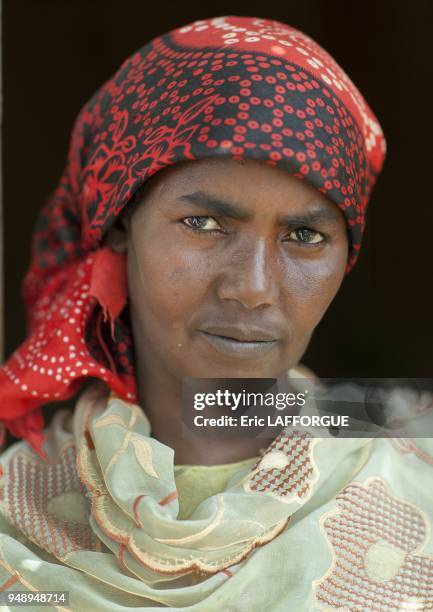 Mature Woman Wearing Veil Portrait In Hargeisa Somaliland.