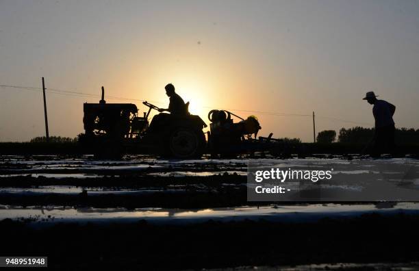 This photo taken on April 19, 2018 shows farmers planting peanuts in a field in Liaocheng in China's eastern Shandong province. / China OUT