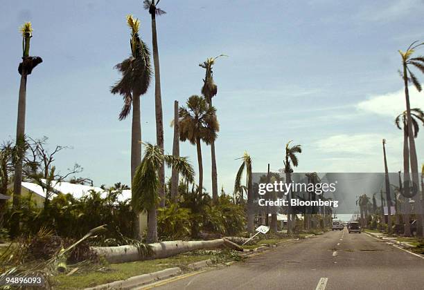 Broken palm trees line Punta Gorda, Florida, on Saturday August 14, 2004. Zurich Financial Services AG said today it expects costs of $150 million...