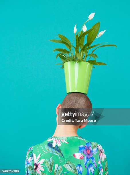 woman balancing pot plant on head