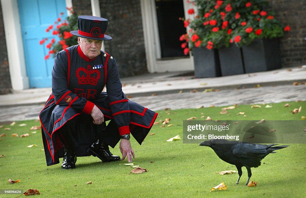 'Ravenmaster' Derrick Coyle watches one of the ravens at the