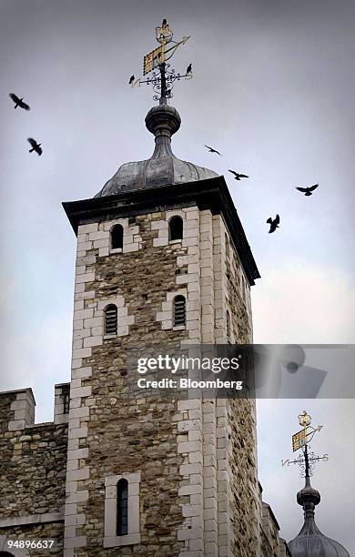 Rooks circle the White Tower at the Tower of London, Thursday, October 20, 2005. Derrick Coyle, the Tower of London's ravenmaster, says it's his job...