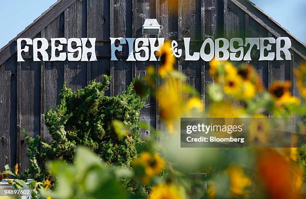 Sunflowers sit near a restaurant in Sag Harbor, New York, U.S., on Sunday, Aug. 31, 2008. The business district of the town is listed in the National...