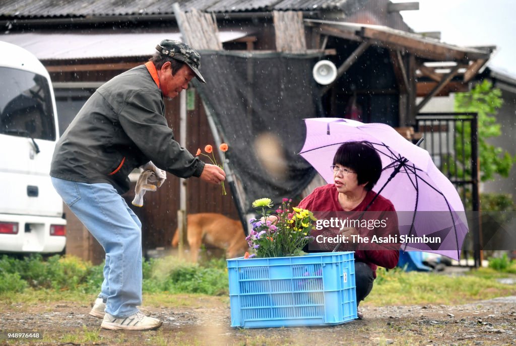 Lanterns Lit To Commemorate Victims Ahead Of 2nd Anniversary Of Kumamoto Earthquakes