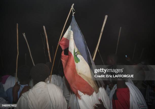 Rear view of a group of karrayyu tribe men attending stick fighting with oromo flag during gadaaa ceremony, metahara, Ethiopia on January 10, 2012 in...