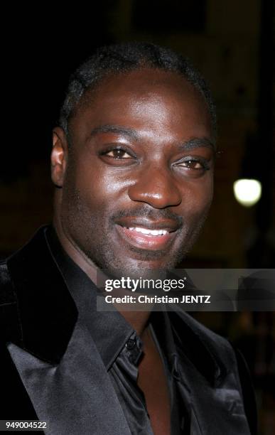November 2, 2005 - Hollywood - Adewale Akinnuoye-Agbaje at the Paramount Pictures' "Get Rich or Die Tryin'" Los Angeles Premiere at the Grauman's...