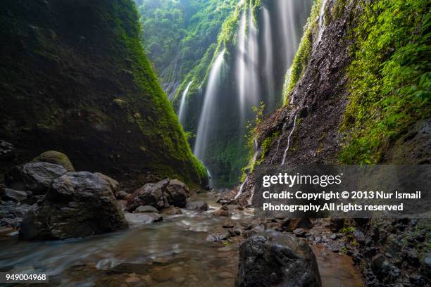 the majestic madakaripura waterfall in probolinggo district, east java province, indonesia with the morning light. - east java province fotografías e imágenes de stock