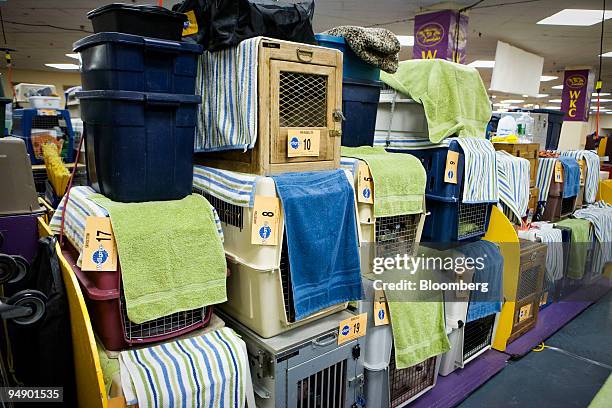 Dog cages are stacked backstage a day before the 132nd Westminster Kennel Club Dog Show at Madison Square Garden in New York, U.S., on Sunday, Feb....