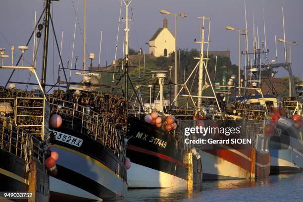 Roscoff, boats docked in the fishing harbor, chapel Sainte Barbe in the background, Brittany, France.