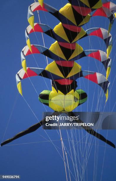 Cerf-volant ?Mille-pattes? réalisé par Peter Lynn, lors des Rencontres Internationnales de Cerf-Volant de Berck, à Berck-sur-Mer, dans le...