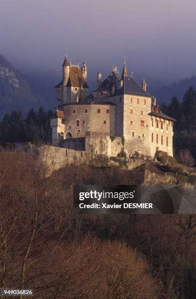 Château De Menthon Saint Bernard Photos and Premium High Res Pictures