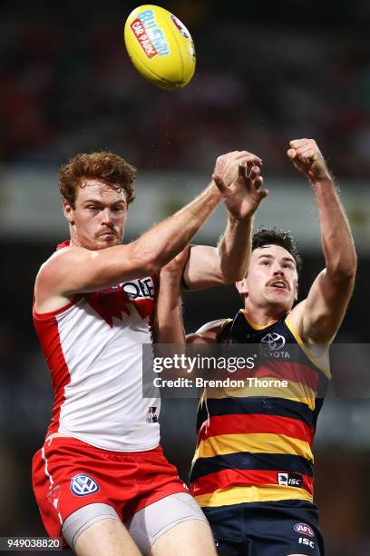 Gary Rohan of the Swans contests the ball Mitch McGovern of the Crows during the round five AFL match between the Sydney Swans and the Adelaide Crows...