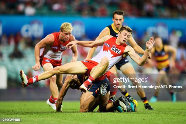 Will Hayward of the Swans collides with Wayne Milera of the Crows during the round five AFL match between the Sydney Swans and the Adelaide Crows at...