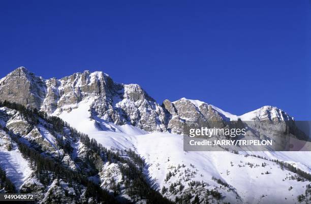 Montagne vers Saint-Veran, vallee de l Aigue Blanche, Parc Naturel Regional du Queyras, departements des Hautes-Alpes, region Alpes-Provence-Cote d...