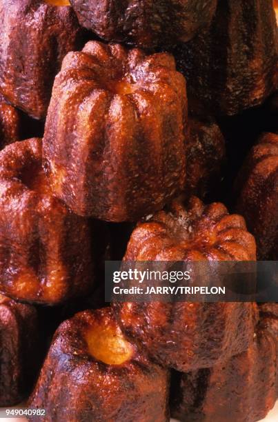 France, Aquitaine, Gironde 33, Bordeaux, caneles, cakes, Bordeaux speciality France, Aquitaine, Gironde 33, Bordeaux, les caneles, specialitees de...