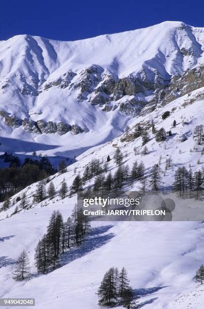 Montagne vers Saint-Veran, vallee de l Aigue Blanche, Parc Naturel Regional du Queyras, departements des Hautes-Alpes, region Alpes-Provence-Cote d...