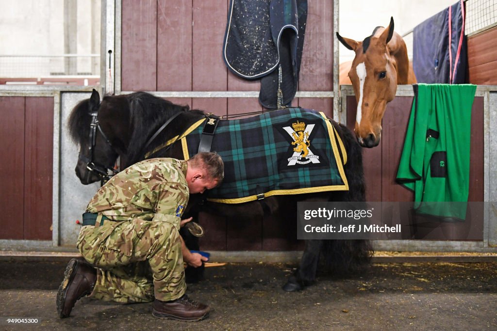 Royal Scottish Regiment Pass Muster For London Duties