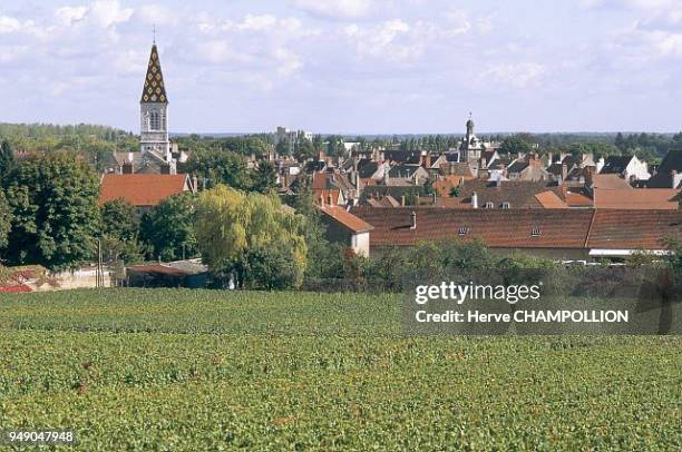 Cote d'Or, Nuits-Saint-Georges and the vineyards. The church and its Burgundian bell-tower. Bourgogne: Côte-d'Or, Nuits-Saint-Georges et les...