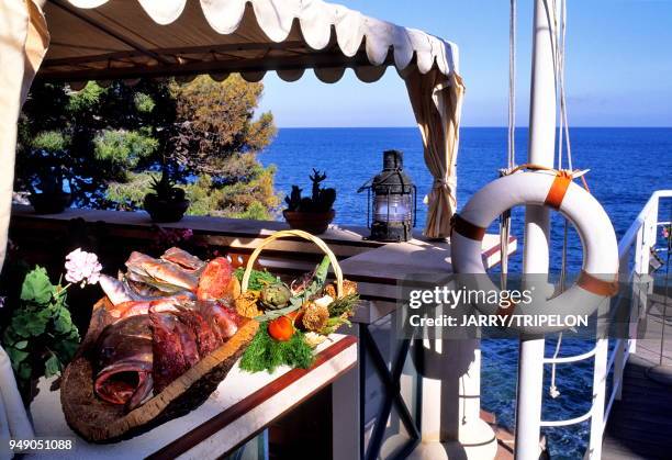 357 Le Lavandou Stock Photos, High-Res Pictures, and Images - Getty Images