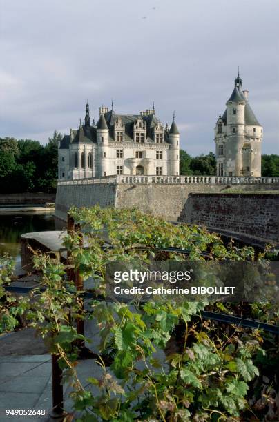 Chenonceaux Castle on the Cher. Completely destroyed in 1411 except for the dungeon, it was replaced in 1513 by a simple residence on water, which...