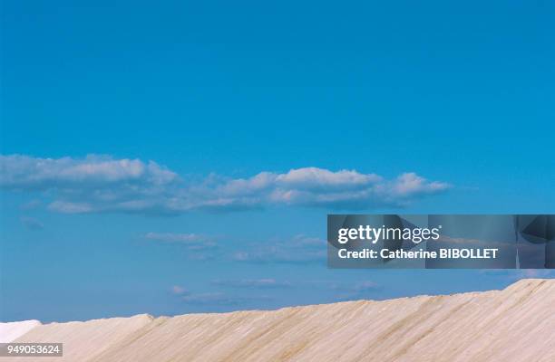 The salt marshes of Gruissan, a traditional activity now mechanized. The salt harvest, though, is still done the traditional, manual way . Pays...