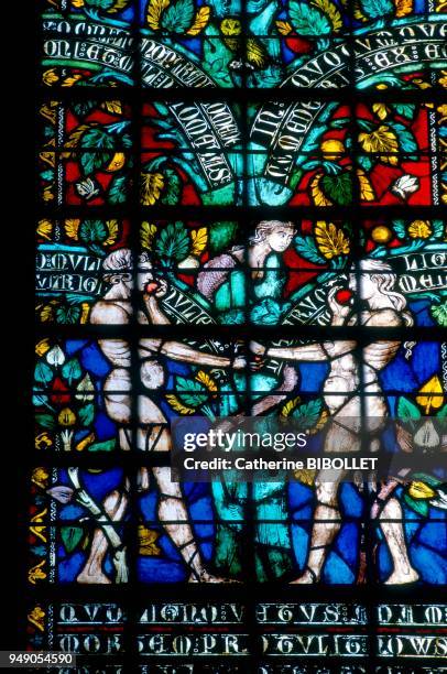 The city of Carcassonne, stained-glass window at the St. Nazaire Cathedral. The tree of life . Aude: la cité de Carcassonne, vitrail de la cathédrale...