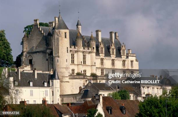 The castle of Loches. Built between the late XVth century and the early XVIth, the Royal House was restored in the XIXth century. Only Agnes Sorel's...