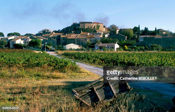 Pouzols-Minervois, a large wine-producing town towered by the remnants of its castle . Pays cathare: Pouzols-Minervois, gros bourg viticole dominé...