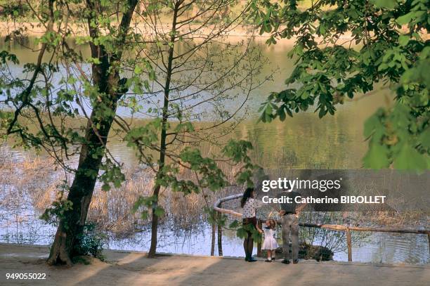 Hauts-de-Seine, the forest of La Malmaison and the pond of St. Cucufa. Ile-de-France: Hauts-de-Seine, la forêt de la Malmaison et l'étang de...