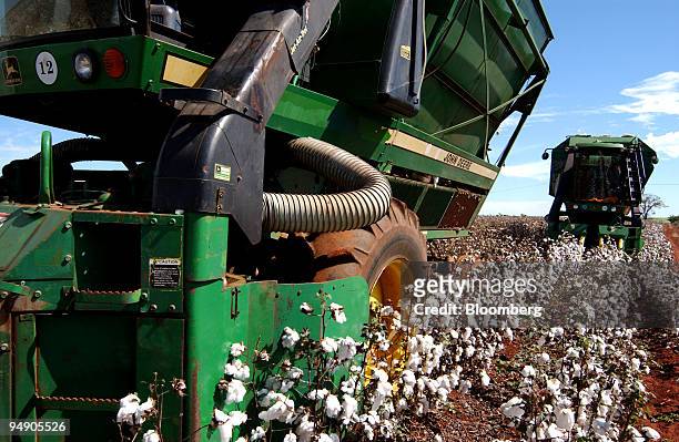 Cotton is picked by machine July 13, 2004 on the Dois Meninos farm in Ituverava, a region 250 miles from Sao Paulo, Brazil. Halting cotton and other...