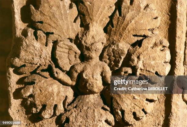 Narbonne. The horreum, a large underground storehouse built in the time of Augustus, served to stock merchandise. It is the only fully-preserved...