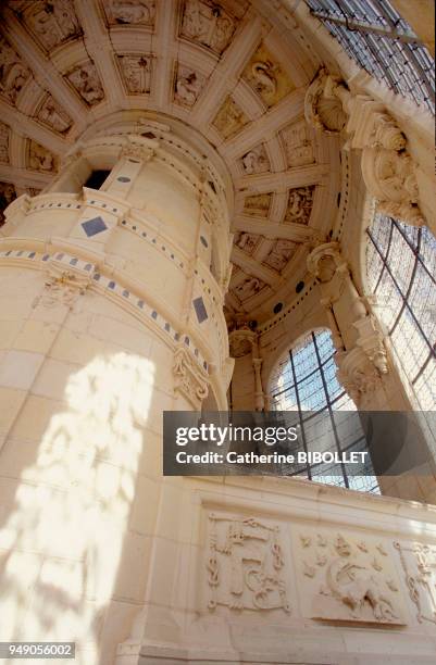 The castle of Chambord. The top of the double revolution staircase, the lacunar stone ceiling of the lantern and the salamander of François I are...