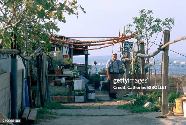 , quartier de la Pointe Courte, les ""cabanettes"" côté étang de Thau." "Sète: , quartier de la Pointe Courte, les ""cabanettes"" côté étang de...