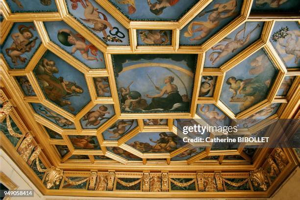 Narbonne, the interior of the Archbishops' palace. The King's bedroom and its lacunar ceiling, designed in 1623 by the Rodières brothers . "Pays...