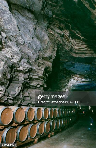 Terra-Vinea, the Rochere wine cellars in Portel-des-Corbieres. The aging barrels in an immense ancient gypsum mine. . Pays cathare: Terra-Vinea, les...
