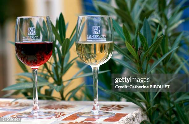 Wine-producing domain in Ouveillan, in the Minervois region. The red and white Minervois wine at Chateau Cabezac. Pays cathare: domaine viticole à...