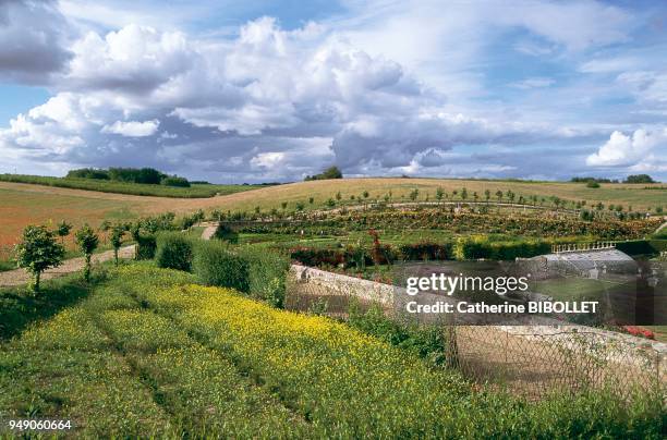 La Chatonnière. A small Renaissance castle built in the hollow of a valley with a view of the Indre and the forest of Chinon, La Chatonnière's six...