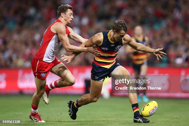 Tom Doedee of the Crows contests the ball Will Hayward of the Swans during the round five AFL match between the Sydney Swans and the Adelaide Crows...