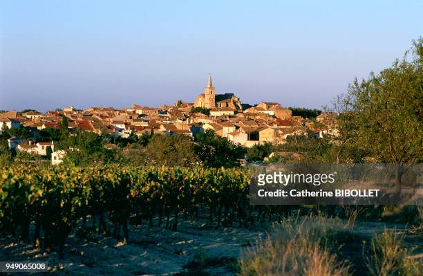 Ouveillan, surrounded by its vineyard and nestled around its Roman church, in the Minervois region . Pays cathare: Ouveillan, environné de son...