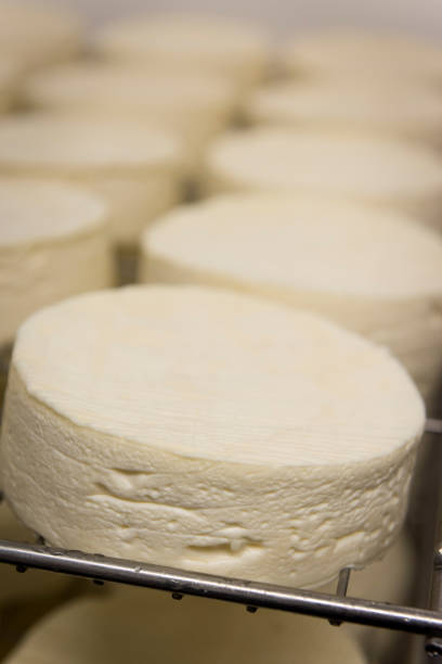 FRA: Camembert Production in Normandy