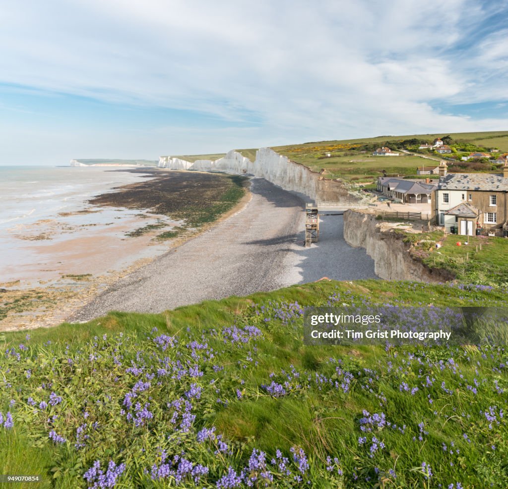 Birling Gap and The Seven Sisters Cliffs