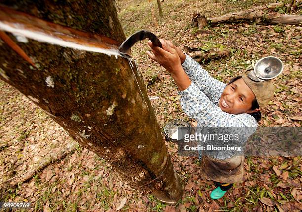 Thai woman slices a rubber tree, harvesting its "milk" May 1, 2004 at a rubber tree plantation in Hat Yai, southern Thailand. Thailand is the world's...