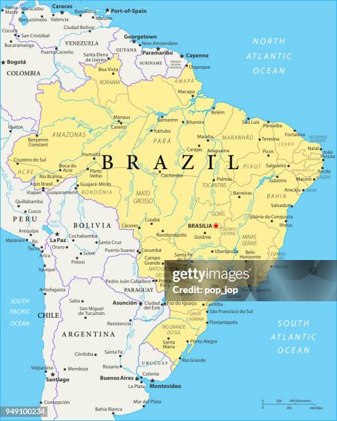 ilustraciones, imágenes clip art, dibujos animados e iconos de stock de mapa de brasil - vector - mapa de minas gerais