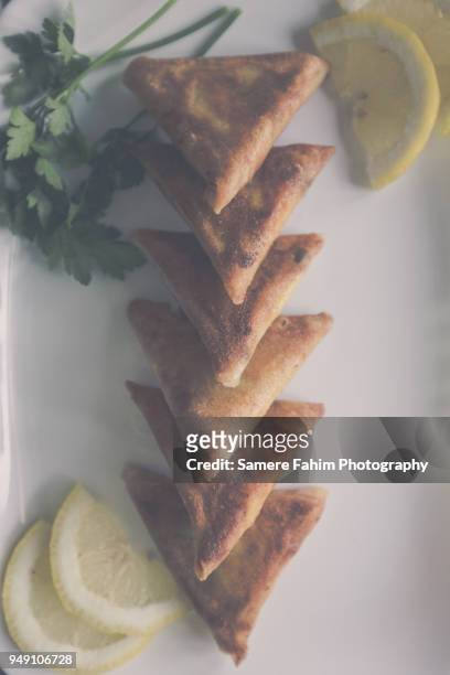 close-up of tuna brik on plate - flat leaf parsley stock pictures, royalty-free photos & images