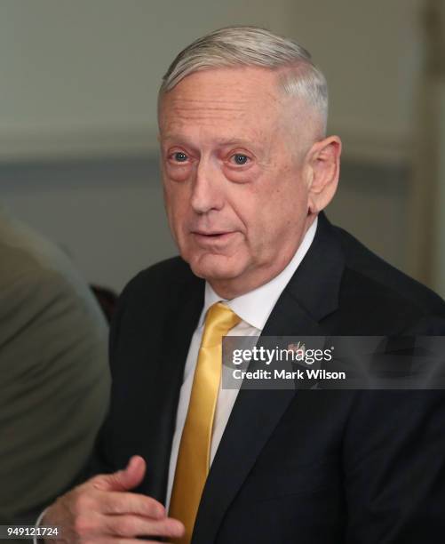 Secretary of Defense James Mattis speaks to the media during a luncheon with Japanese Defense Minister Itsunori Onodera, at the Pentagon, on April...